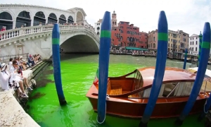 威尼斯河，一夜变绿！