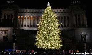 用完的圣诞树怎么办，能直接丢到法国街头吗？