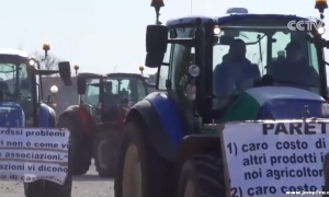 意大利多地农民游行 抗议农业生产成本过高