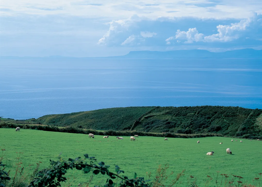 爱尔兰永居申请指南（附2025年特殊职业技能清单） - 移民与签证- J2论坛-爱尔兰华人社区